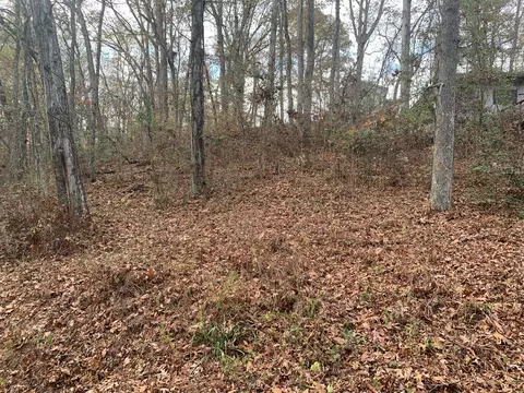 160 Trailer Rd, Springville, TN 38256