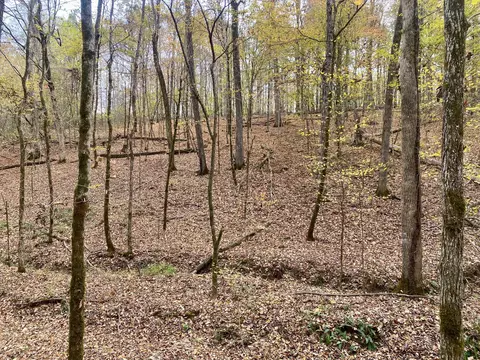 Exterior - 427 Blooming Grove Rd, Five Points, TN 38457 photo 6 of 12
