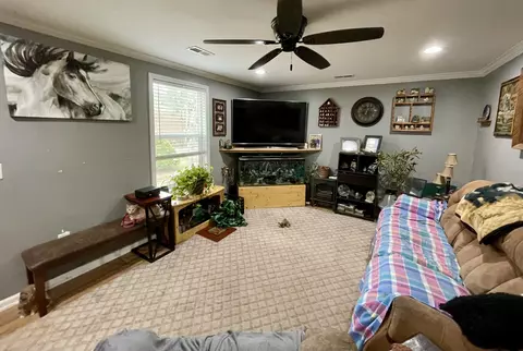 Other - 427 Blooming Grove Rd, Five Points, TN 38457 photo 3 of 20