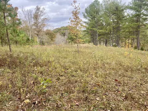Exterior - 427 Blooming Grove Rd, Five Points, TN 38457 photo 5 of 12