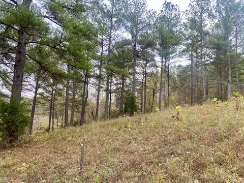 Other - 427 Blooming Grove Rd, Five Points, TN 38457 photo 19 of 20