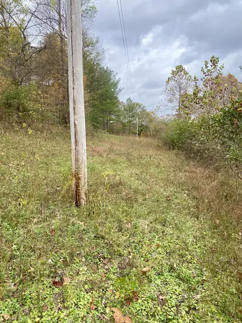 Other - 427 Blooming Grove Rd, Five Points, TN 38457 photo 9 of 20