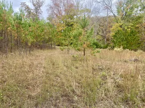 Other - 427 Blooming Grove Rd, Five Points, TN 38457 photo 17 of 20