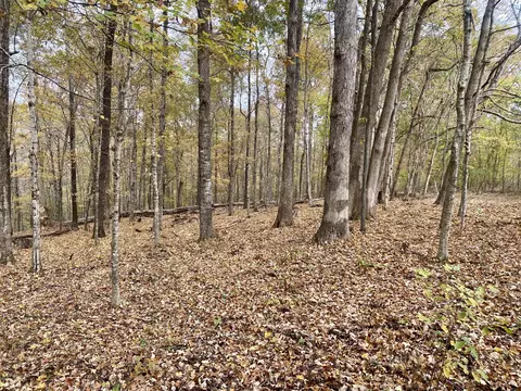 Exterior - 427 Blooming Grove Rd, Five Points, TN 38457 photo 8 of 12