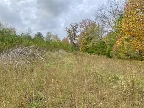 Exterior - 427 Blooming Grove Rd, Five Points, TN 38457 photo 11 of 12