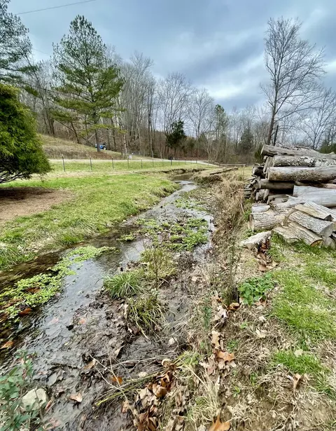 Exterior - 427 Blooming Grove Rd, Five Points, TN 38457 photo 4 of 12