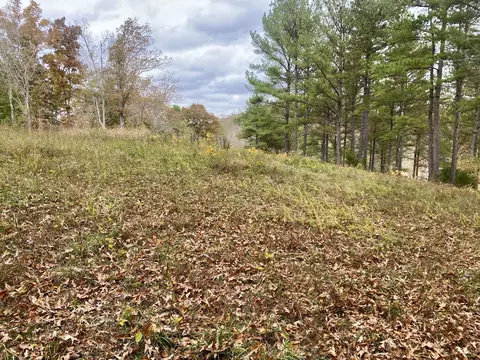 Other - 427 Blooming Grove Rd, Five Points, TN 38457 photo 13 of 20