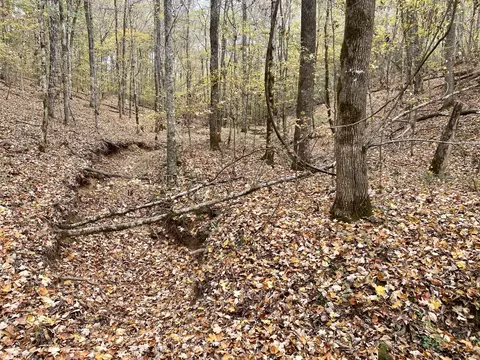Other - 427 Blooming Grove Rd, Five Points, TN 38457 photo 14 of 20