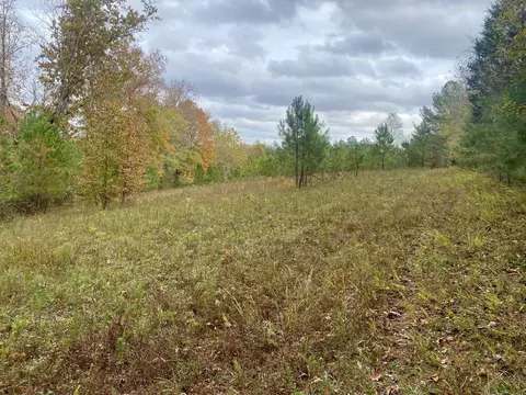 Other - 427 Blooming Grove Rd, Five Points, TN 38457 photo 16 of 20