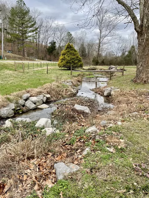 Other - 427 Blooming Grove Rd, Five Points, TN 38457 photo 2 of 20