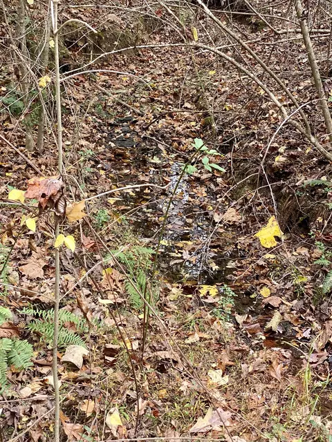 Other - 427 Blooming Grove Rd, Five Points, TN 38457 photo 15 of 20