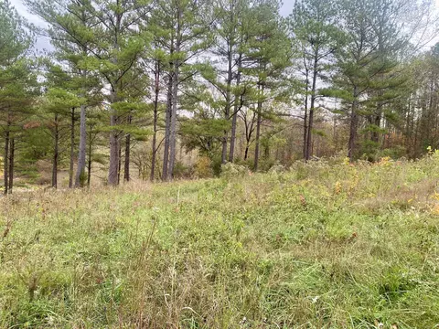 Other - 427 Blooming Grove Rd, Five Points, TN 38457 photo 18 of 20