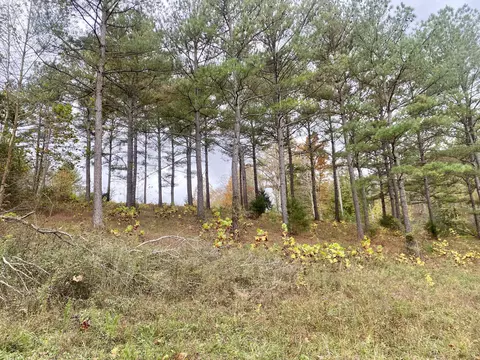 Other - 427 Blooming Grove Rd, Five Points, TN 38457 photo 8 of 20
