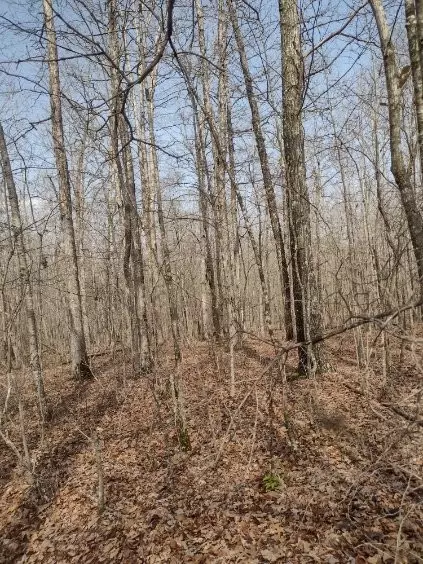 0 2nd St, Altamont, TN 37301