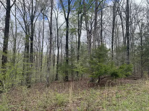 0 Eagle Creek Ct, Nunnelly, TN 37137