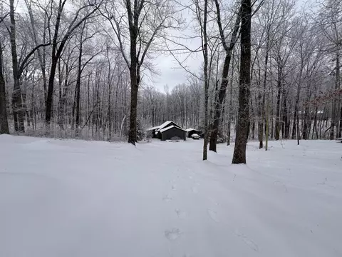 Exterior - 20 Chickory Ln, Monteagle, TN 37356 photo 5 of 6