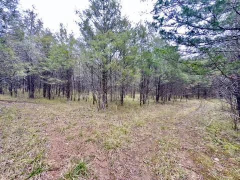 1 Remington Dr, Lascassas, TN 37085