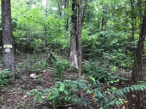 2 Smith Mtn Rd, Dunlap, TN 37327 photo 4