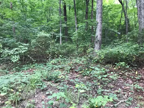 2 Smith Mtn Rd, Dunlap, TN 37327 photo 7