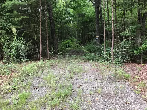 2 Smith Mtn Rd, Dunlap, TN 37327 photo 3