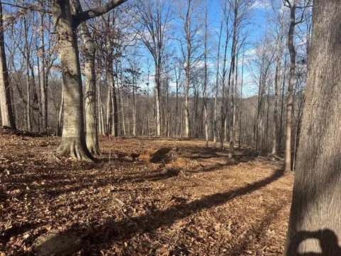 0 Tyree Ct N, White House, TN 37188