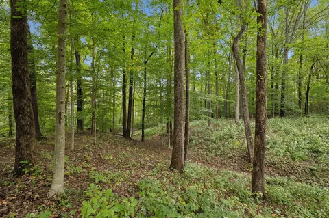 Exterior - 7119 Sutton Pl, Fairview, TN 37062 photo 11 of 15