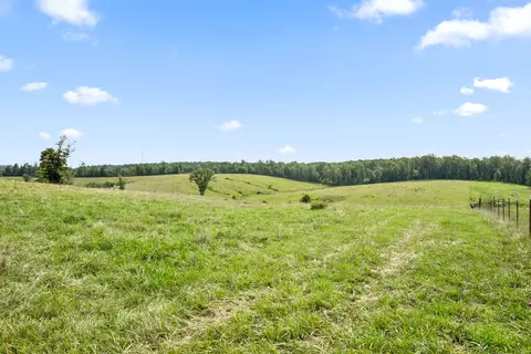 7 Brigham Branch Rd, Erin, TN 37061