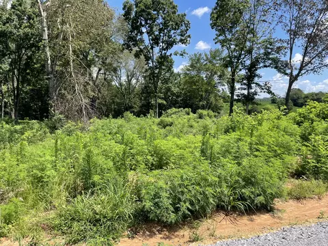 0 Hidden Hills Ln, Summertown, TN 38483