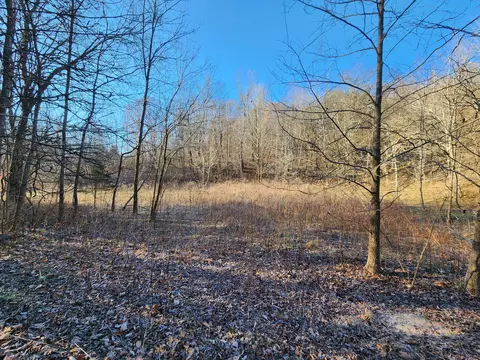 5474 Tinin Rd, Clifton, TN 38425