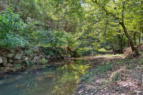 0 Grays Bend Rd, Centerville, TN 37033 photo 4
