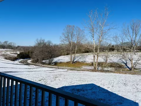 88 Mclemore Rd, Taft, TN 38488 photo 4