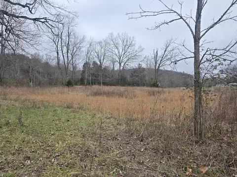 0 Franks Ferry Rd, Walling, TN 38587 photo 3
