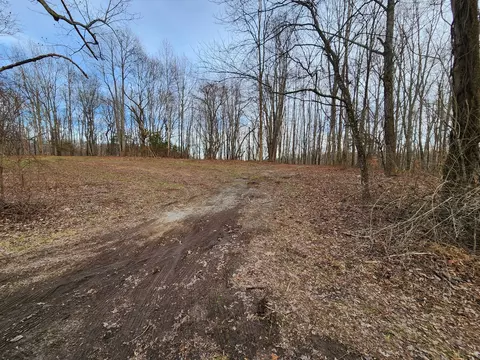 0 Adamson Branch Rd, Liberty, TN 37095