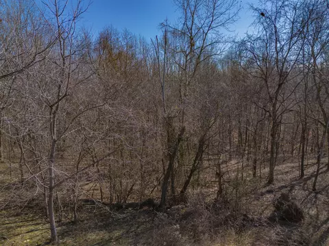 Other - 357 Munro Rd, Pulaski, TN 38478 photo 3 of 10