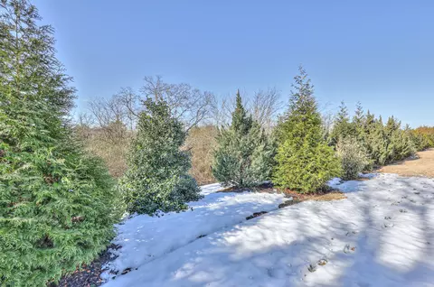2050 Alysheba Run, Murfreesboro, TN 37128 photo 33