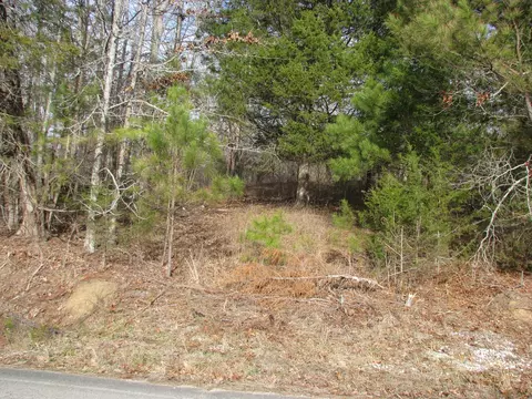 0 Cuba Landing Rd, Waverly, TN 37185