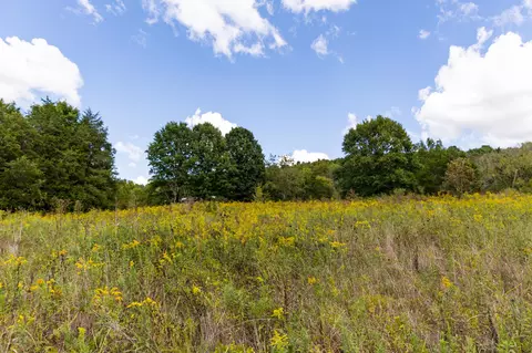 387 Jim Perkins Rd, Bradyville, TN 37026