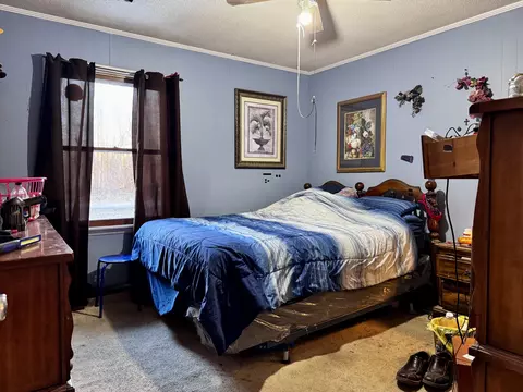 9 Augustin Ln, Loretto, TN 38469 photo 26