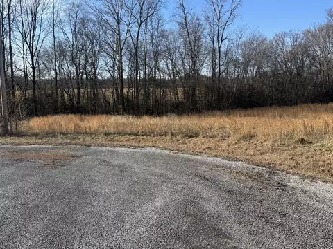 0 Callie Ct, Leoma, TN 38468