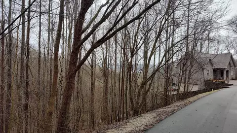 35 Bay View Dr, Lancaster, TN 38569