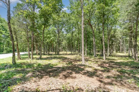 0 Millersburg Rd, Christiana, TN 37037