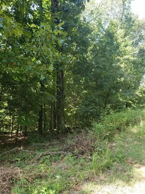 0 Stonehenge Dr, Chattanooga, TN 37421