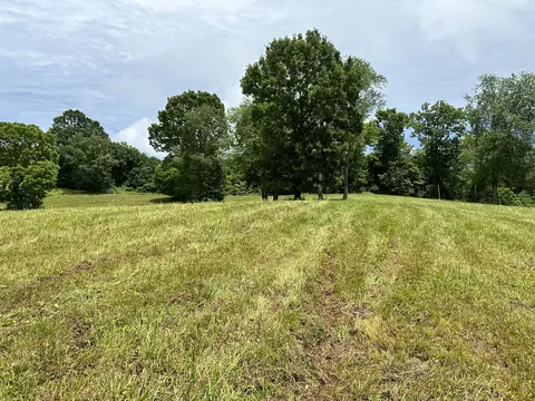 0 Viewpoint Valley Dr, Pulaski, TN 38478