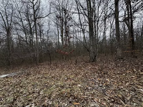 0 Hunters Ridge Trl, Altamont, TN 37301