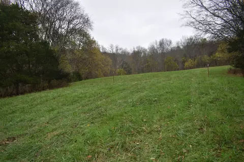 0 Dyers Branch Rd, Gordonsville, TN 38563