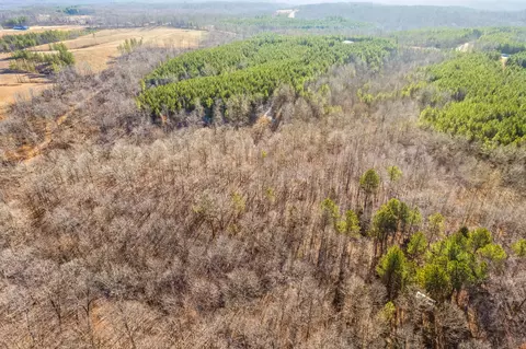 4 Walnut Grove Rd, Dover, TN 37058 photo 35