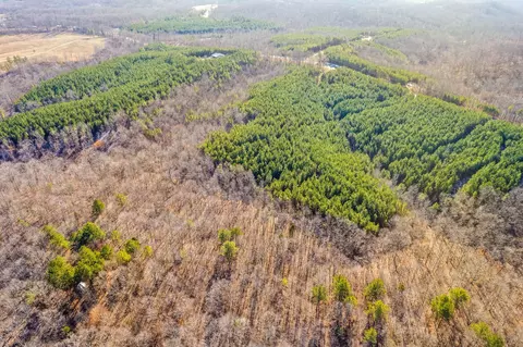 4 Walnut Grove Rd, Dover, TN 37058 photo 20