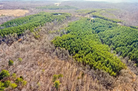 4 Walnut Grove Rd, Dover, TN 37058 photo 19
