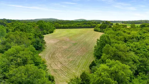 7 Highway 41a, Eagleville, TN 37060 photo 13