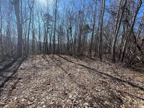 0 Jericho Rd, Dunlap, TN 37327 photo 3